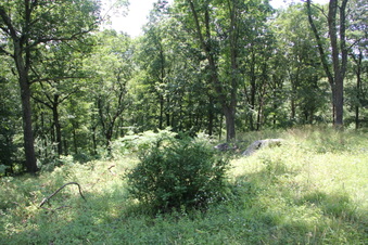 Enlarge photo 57