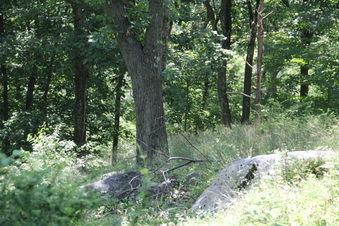 Enlarge photo 58