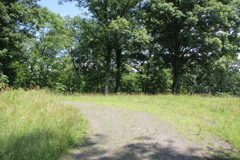Enlarge photo 60