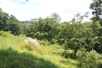 Enlarge photo 62