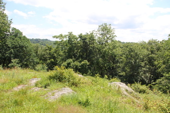 Enlarge photo 63