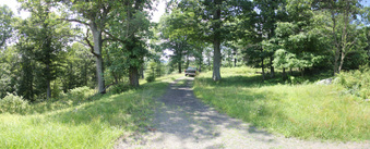 Enlarge photo 65