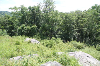 Enlarge photo 66