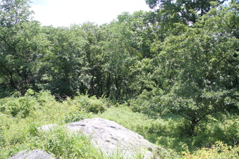 Enlarge photo 67