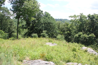 Enlarge photo 68