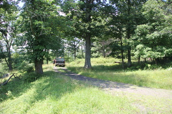 Enlarge photo 70