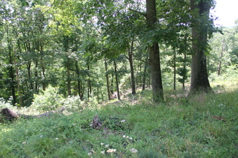 Enlarge photo 71