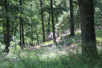 Enlarge photo 72