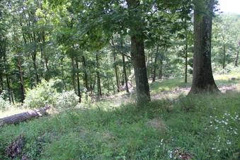 Enlarge photo 73
