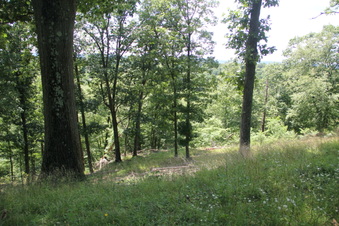 Enlarge photo 74