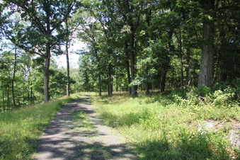 Enlarge photo 75