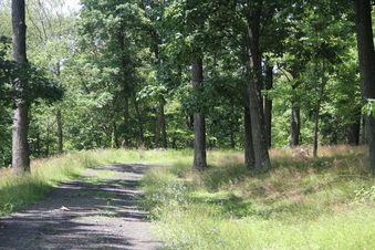Enlarge photo 76