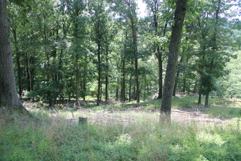 Enlarge photo 77