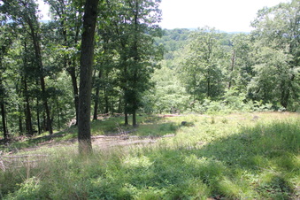 Enlarge photo 78
