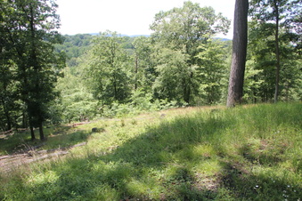 Enlarge photo 79