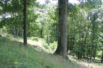 Enlarge photo 80