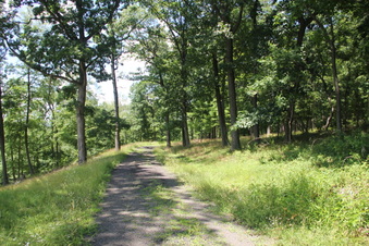 Enlarge photo 82