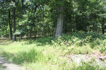 Enlarge photo 83