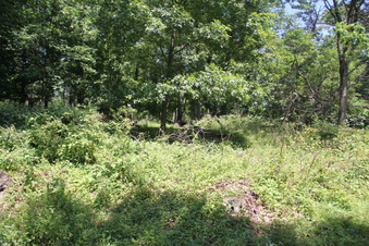 Enlarge photo 84