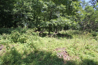 Enlarge photo 85
