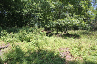 Enlarge photo 86