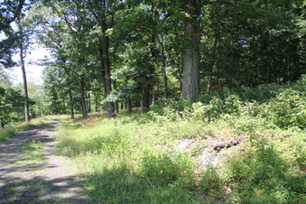 Enlarge photo 87