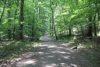 Enlarge photo 88