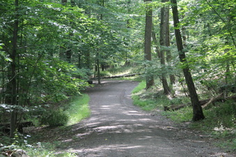 Enlarge photo 89