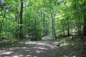 Enlarge photo 91