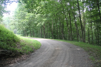 Enlarge photo 92