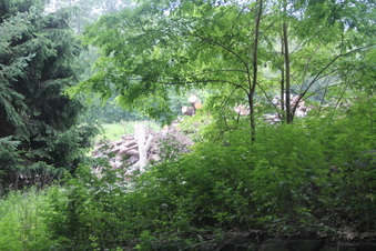 Enlarge photo 94
