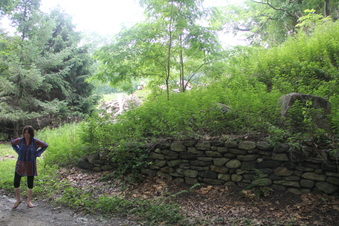 Enlarge photo 95