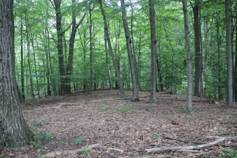 Enlarge photo 96