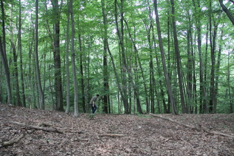Enlarge photo 98