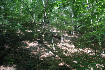 Enlarge photo 103