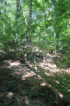 Enlarge photo 104