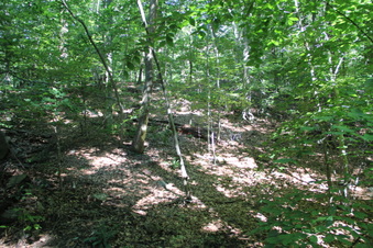 Enlarge photo 106