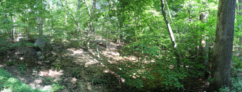 Enlarge photo 107