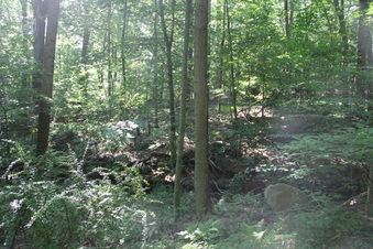 Enlarge photo 108