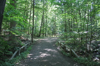 Enlarge photo 109
