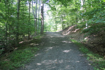 Enlarge photo 110