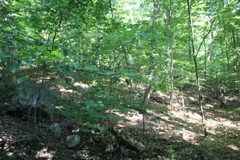 Enlarge photo 111
