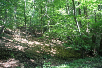 Enlarge photo 112