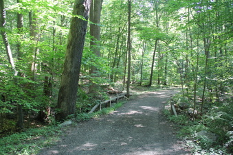 Enlarge photo 113