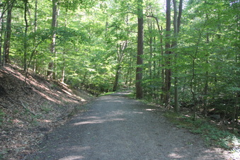 Enlarge photo 114