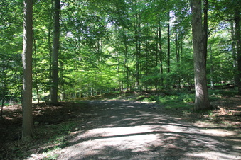 Enlarge photo 115