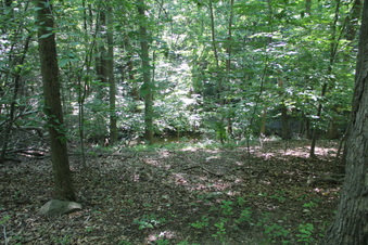 Enlarge photo 117