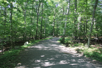 Enlarge photo 118
