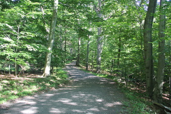 Enlarge photo 119