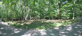Enlarge photo 120